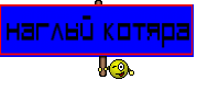 Наглый Котяра
