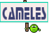 ñameles
