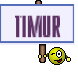 Timur