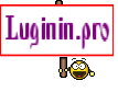 Luginin.pro