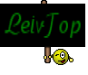 LeivTop