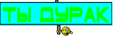 ты дурак