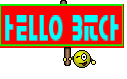 hello bitch
