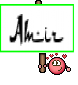Amir