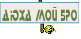 Дюха мой бро
