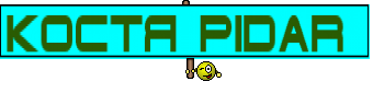 Костя pidar 
