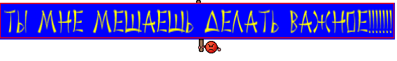 ТЫ МНЕ МЕШАЕШЬ ДЕЛАТЬ ВАЖНОЕ!!!!!!!