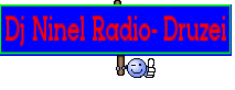 Dj Ninel Radio- Druzei