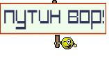 Путин вор!