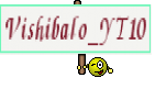 Vishibalo_YT10