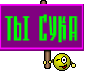 ты сука