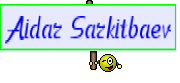 Aidar Sarkitbaev