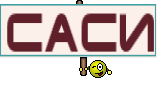 Саси