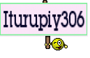 Iturupiy306