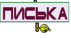 ПИСЬКА