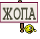 ЖОПА
