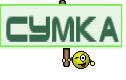 Сумка