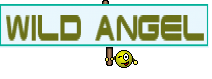 Wild Angel