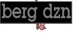 berg dzn