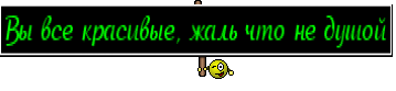 Вы все красивые, жаль что не душой