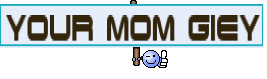 YOUR MOM GIEY