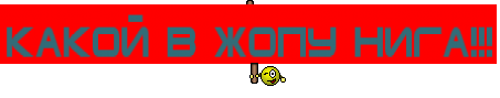 КАКОЙ В ЖОПУ НИГА!!!