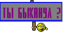 ТЫ БЫКАНУЛ ?