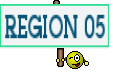 REGION 05