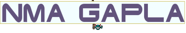 NMA GAPLA