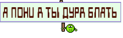 Я ПОНИ А ТЫ ДУРА БЛЯТЬ 