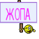 ЖОПА