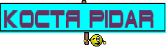 Костя pidar 