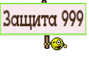 Защита 999