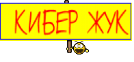  КИБЕР ЖУК