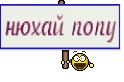 нюхай попу