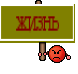 жизнь
