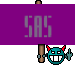 SAS