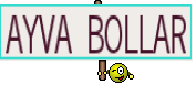 AYVA BOLLAR
