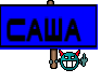 саша 
