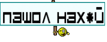 пашол нах*й