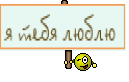 я тебя люблю 
