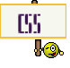 css 