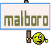 malboro