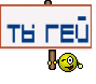 ты гей