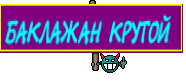 БАКЛАЖАН КРУТОЙ 