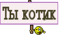 Ты котик