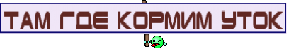 там где кормим уток