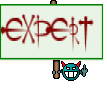 EXPERT