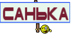 САНЬКА