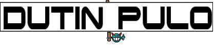 DUTIN PULO